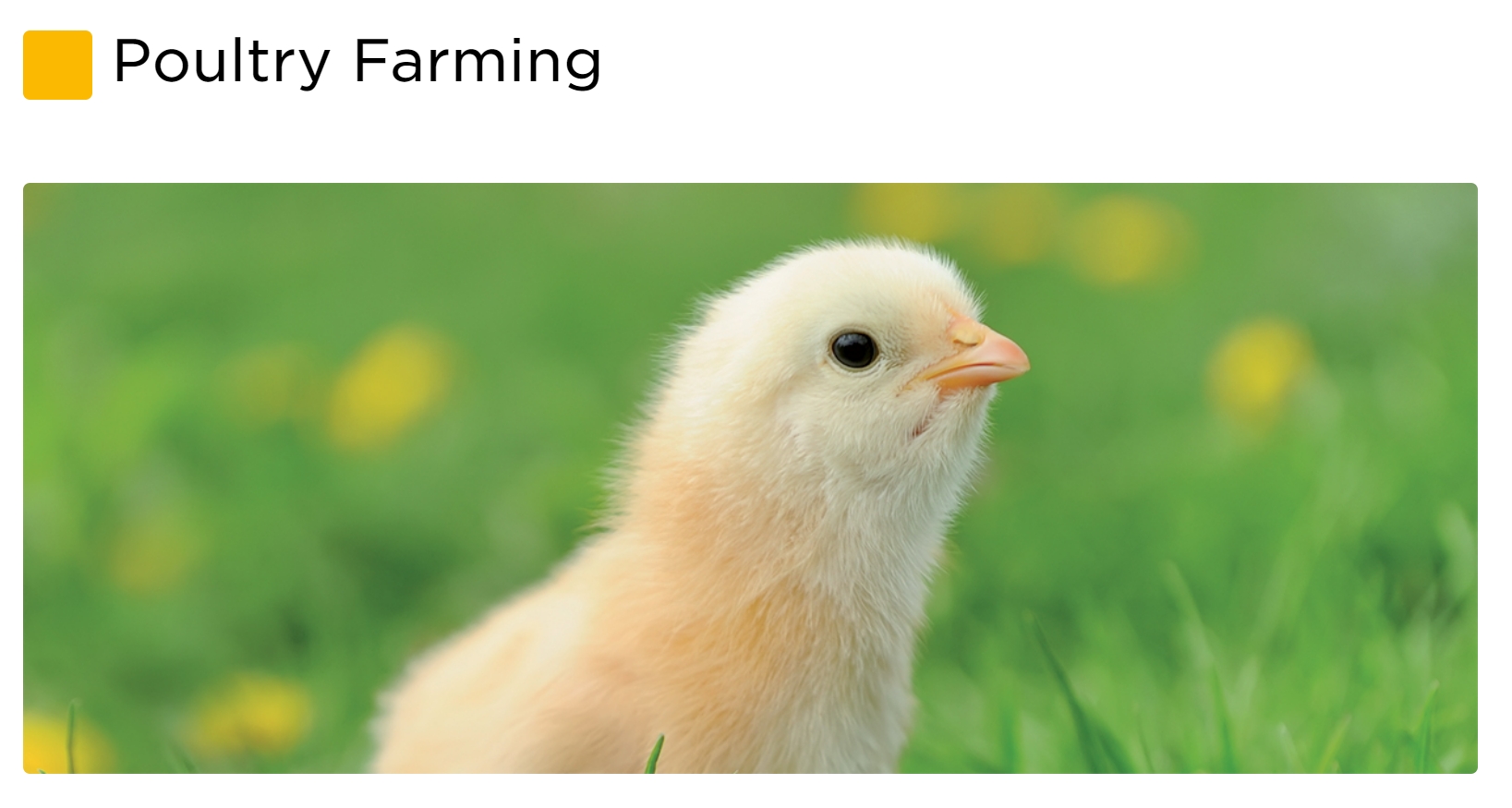 Dosatron Poultry Farming