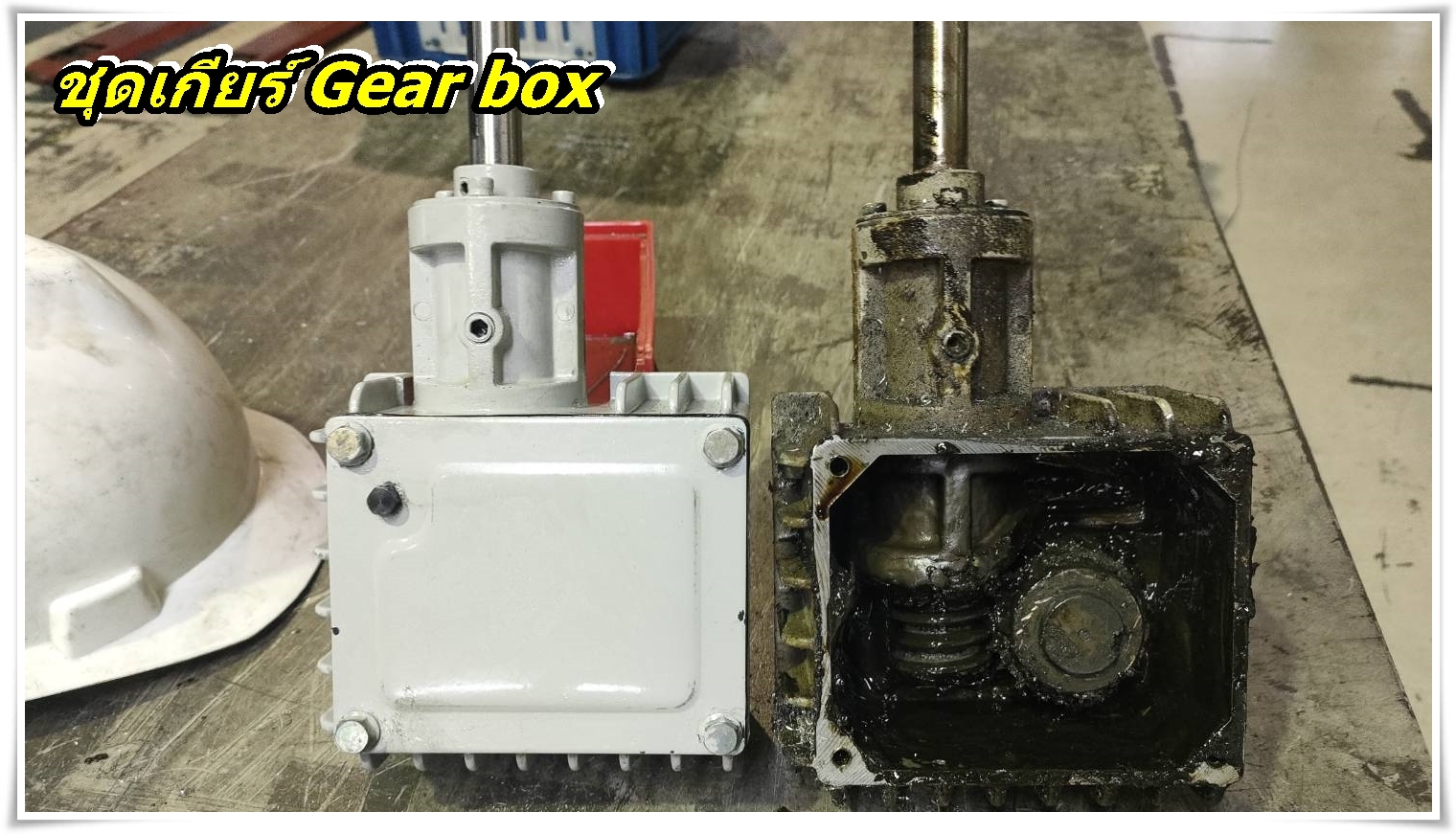 เปลี่ยนชุดเกียร์ กล่องเกียร์ Gearbox เครื่องเลื่อย 7นิ้ว